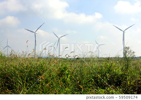 Brothers Island and Sunrise, Photographer Brothers Island and Sunrise, Photographer 59509174