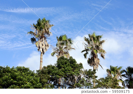 Brothers Island and Sunrise, Photographer Brothers Island and Sunrise, Photographer 59509175