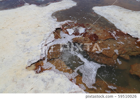 Shionome Uyuni Salt Lake Bolivia 59510026
