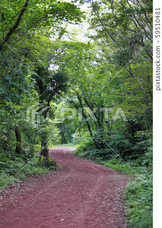 濟州島生態樂園 59510481