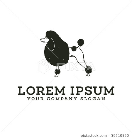 Stand dog logo. poodle pet dog logo design concept Stand dog logo. poodle pet dog logo design concept 59510530
