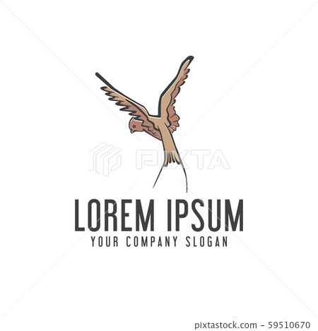 bird logo. hand drawn design concept template 59510670