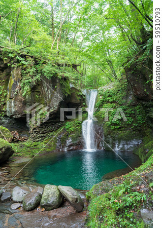 To木縣矢田市Oshiraji Falls（8月） 59510793