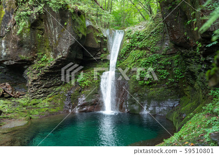 Oshiraji Falls, Yaita City, Tochigi Prefecture (August) 59510801