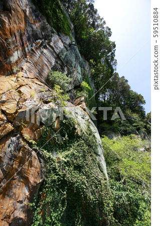 濟州島Eongto Falls 59510884