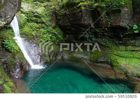 Oshiraji Falls, Yaita City, Tochigi Prefecture (August) 59510920