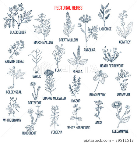 Set of pectoral herbs 59511512