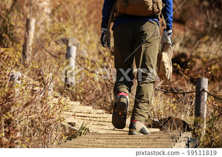 登山 登山 59511819