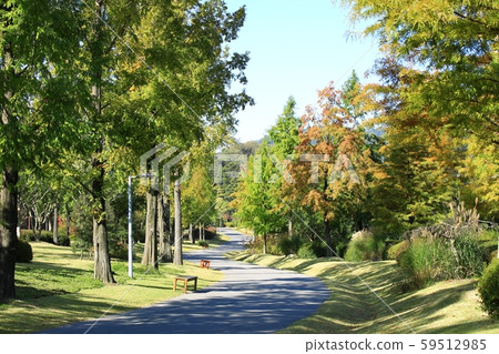 美麗的路,元路 美麗的路,元路 59512985