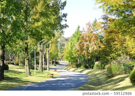 美麗的路,元路 美麗的路,元路 59512986