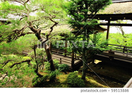 Ninnaji Temple, corridor, world heritage, Emperor Mitsutaka, 59513886