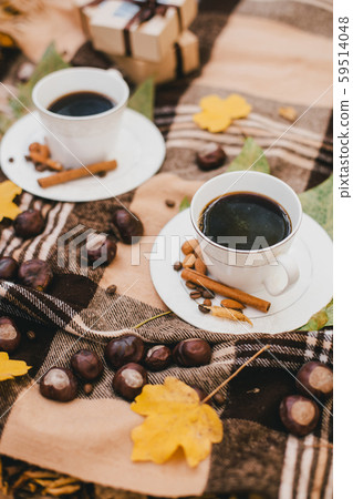 Autumn picnic with coffee and cookies. Autumn picnic with coffee and cookies. 59514048