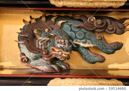 lion 59514660