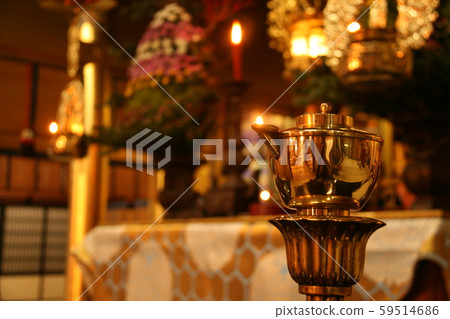 Chrysanthemum 59514686