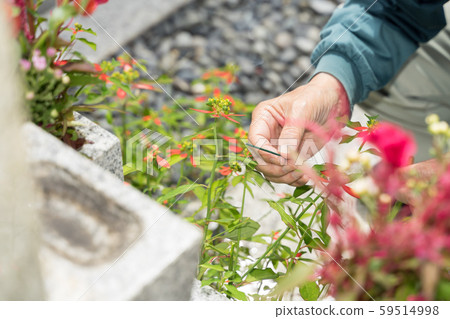 Go to the grave and give incense sticks Go to the grave and give incense sticks 59514998