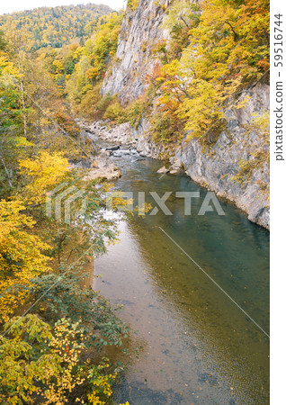 View from Jozankei Futami Suspension Bridge in autumn View from Jozankei Futami Suspension Bridge in autumn 59516744
