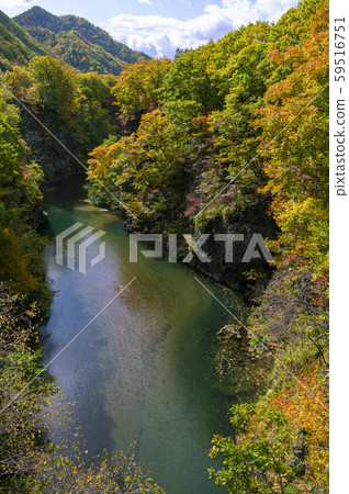 Autumn view from Jozankei Nishiki Bridge 59516751