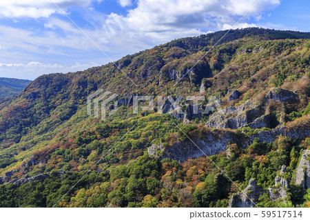 Shodoshima Kankakei autumn leaves 59517514