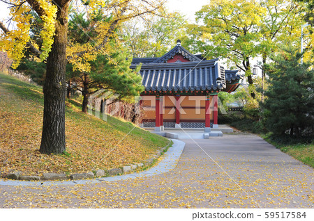 Hanok and Autumn Scenery 59517584