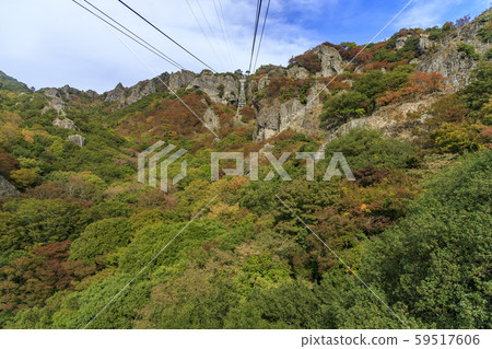 Shodoshima Kankakei autumn leaves Shodoshima Kankakei autumn leaves 59517606