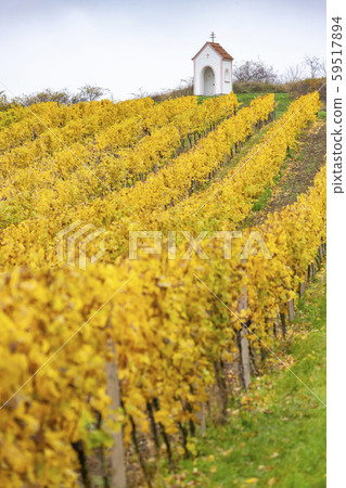 God's torture near Hnanice with autumnal vineyard God's torture near Hnanice with autumnal vineyard 59517894