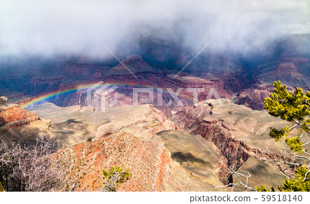 Rainbow above the Grand Canyon in Arizona, USA Rainbow above the Grand Canyon in Arizona, USA 59518140