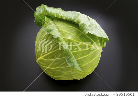 cabbage cabbage 59519501