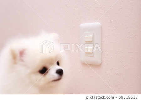 Outlet cap (safety, safety, tamper-proof cover, copy space, prevention of electric shock, accessories, miscellaneous goods) 59519515