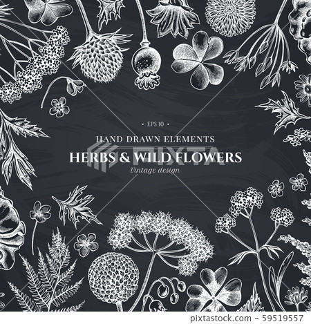 Design with chalk shepherd's purse, heather, fern, wild garlic, clover, globethistle, gentiana Design with chalk shepherd's purse, heather, fern, wild garlic, clover, globethistle, gentiana 59519557