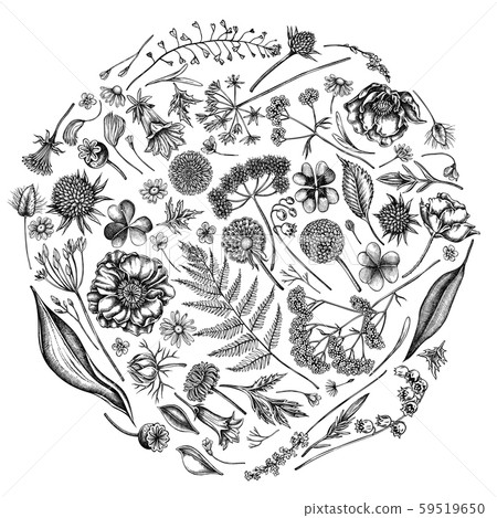 Round floral design with black and white shepherd s purse, heather, fern, wild garlic, clover 59519650