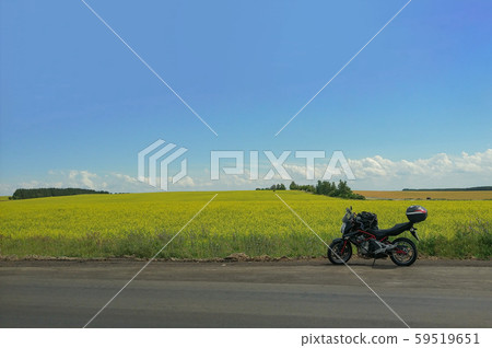 Driver riding motorcycle on an asphalt road through forest. 59519651