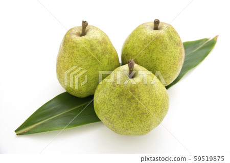 法國 法國 59519875