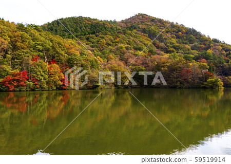 秋天的風景_紅葉和小池 59519914