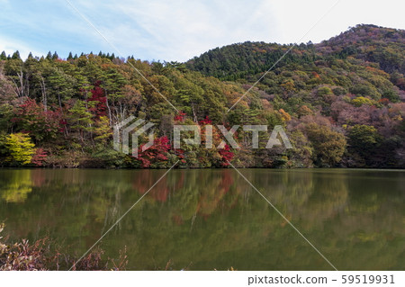 秋天的風景_紅葉和小池 59519931