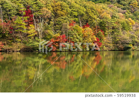 秋天的風景_紅葉和小池 59519938