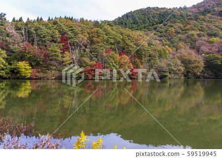 秋天的風景_紅葉和小池 59519945