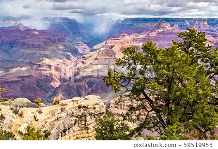 Grand Canyon as seen from Mather Point Grand Canyon as seen from Mather Point 59519953