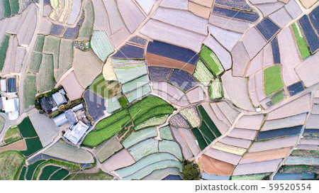 Terraced field 59520554