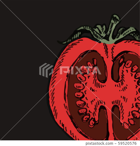 Set of hand drawn tomato. Organic eco food. - Stock Illustration ...