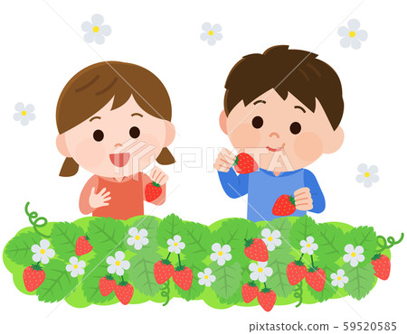 Strawberry picking brother illustration 59520585