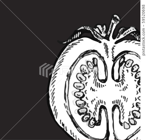 Set of hand drawn tomato. Organic eco food. - Stock Illustration ...