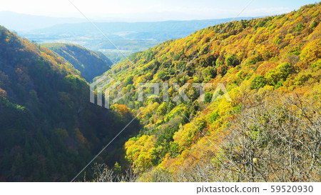 長野縣橫谷京秋季風景11月 59520930