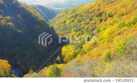 長野縣橫谷京秋季風景11月 長野縣橫谷京秋季風景11月 59520931
