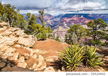 Grand Canyon as seen from the South Rim Grand Canyon as seen from the South Rim 59520942