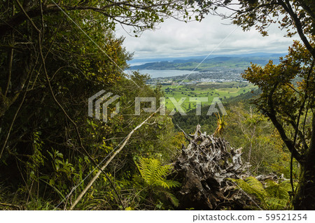 New Zealand Taupo Taupo town and Lake Taupo seen from Mt. New Zealand Taupo Taupo town and Lake Taupo seen from Mt. 59521254
