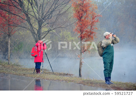 韓國濟南郡菊川生態公園攝影師 59521727