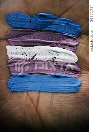 transgender flag in the palm of the hand. 59521734