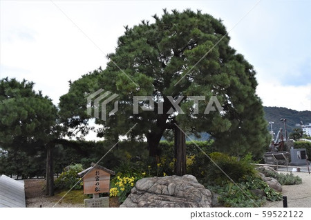 Atami Onsen Omiyanomatsu 59522122