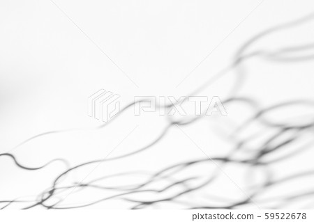 Organic drop shadow on a white wall Organic drop shadow on a white wall 59522678