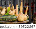 Wooden round table with pumpkins of different 59522867